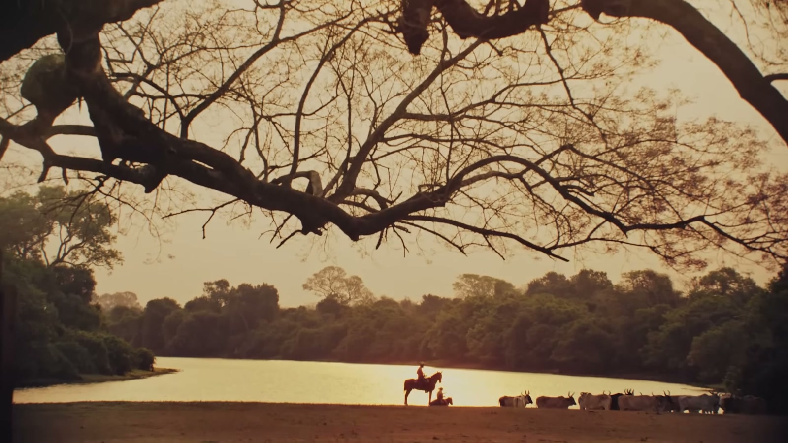 Pantanal no Vale a Pena Ver de Novo: 7 checagens para separar anúncio de expectativa