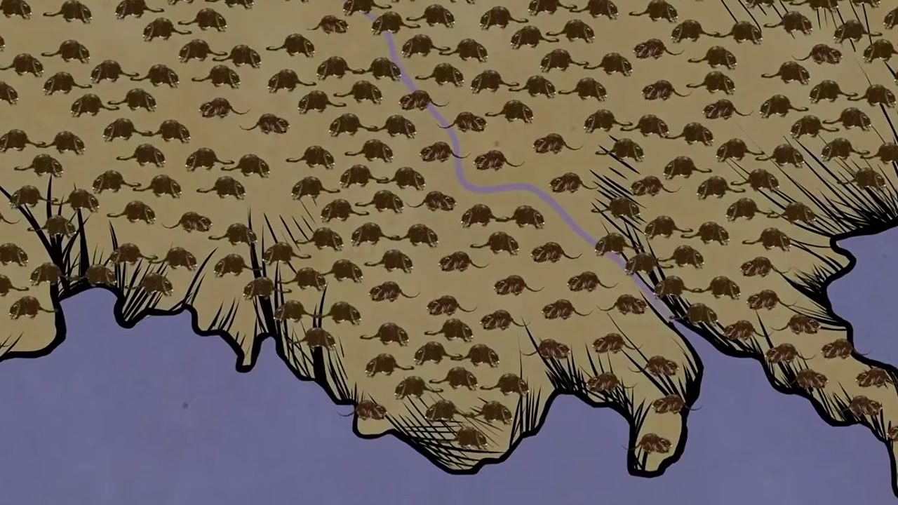 Vídeo apresenta aligátores como aliados contra nútrias invasoras, mas possibilidade de exterminar os roedores vem de modelo populacional, não de resultado comprovado nos pântanos