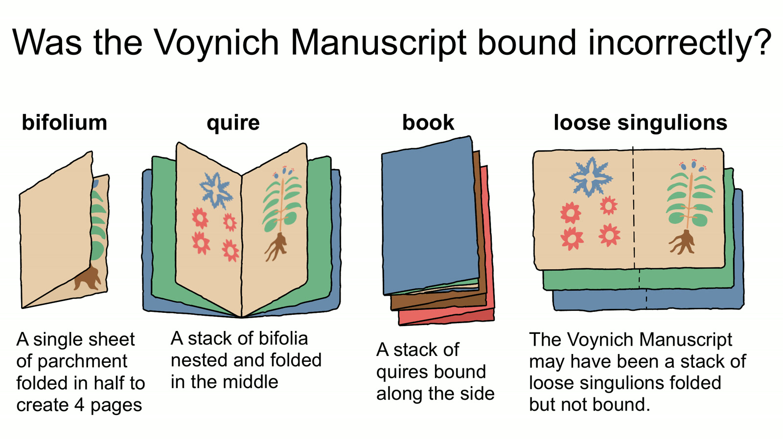 Manuscrito Voynich pode ter sido encadernado fora de ordem, aponta estudo que reúne pistas na escrita e nas ilustrações
